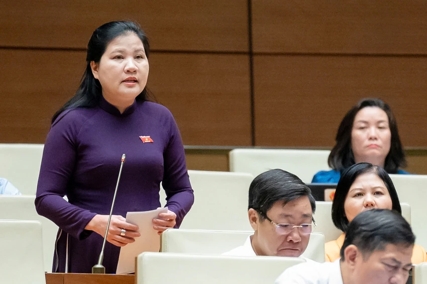 dinh-thi-phuong-lan.jpg