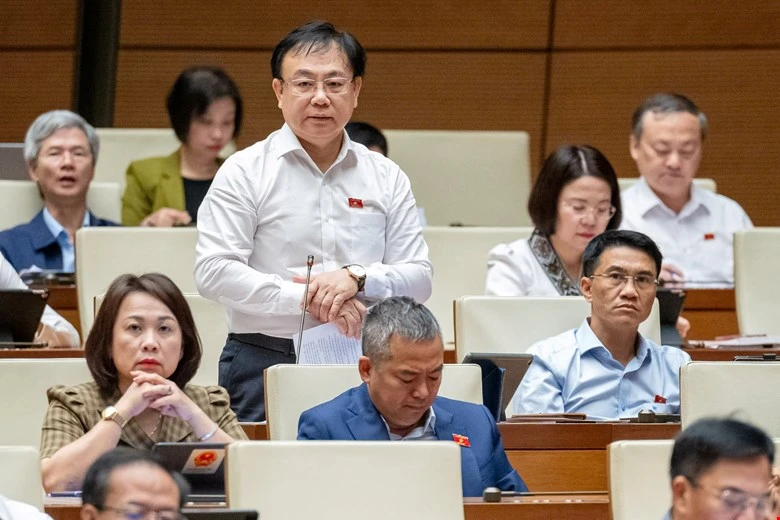 thi-diem-nha-o-thuong-mai-dai-bieu-lo-tinh-trang-thu-gom-dat-lua-dat-rung.jpg