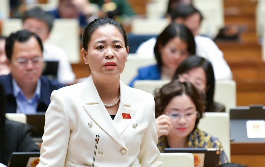 uu-dai-thue-cho-doanh-nghiep-va-don-vi-su-nghiep-muc-nao-tran-thi-thu-dung.jpg