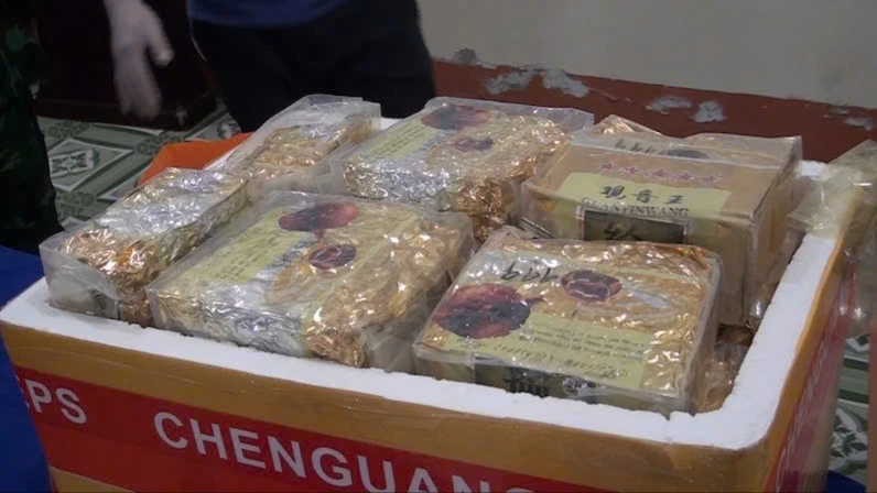 mon-hang-dac-biet-trong-chiec-thung-xop-duoc-van-chuyen-tu-campuchia-ve-viet-nam.jpg