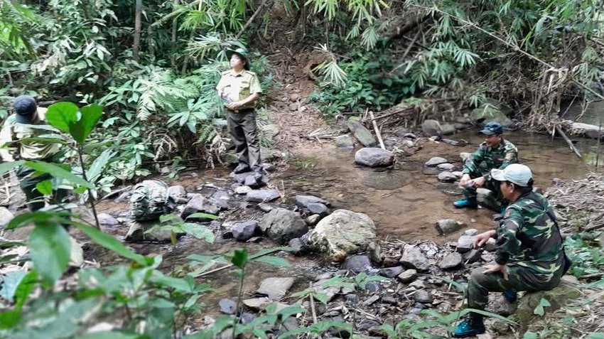 kiem-lam-lam-dong.jpg