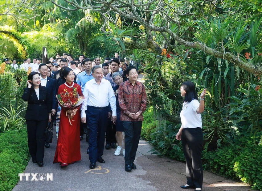 Singapore đặt tên cho loài hoa phong lan mới là 'Papilionanda Tô Lâm Linh Ly'