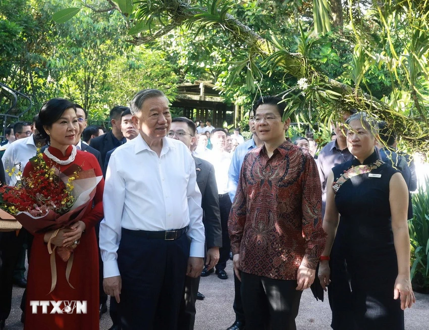 singapore-dat-ten-cho-loai-hoa-phong-lan-moi-la-papilionanda-to-lam-linh-ly-2.jpg