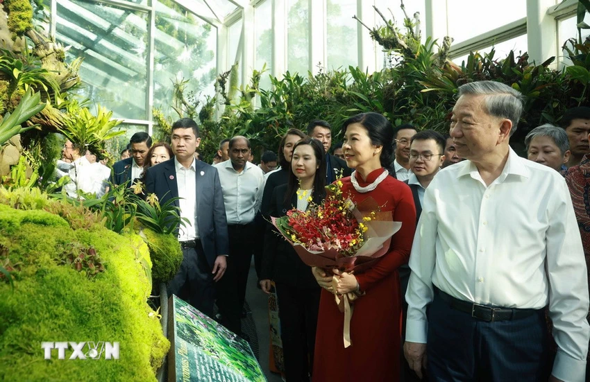 singapore-dat-ten-cho-loai-hoa-phong-lan-moi-la-papilionanda-to-lam-linh-ly-3.jpg