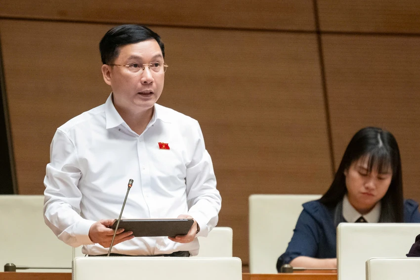 neu-khong-hanh-dong-chung-ta-se-phai-tra-gia-bang-chinh-sinh-menh-nguoi-dan-thue-tieu-thu-dac-biet-le-hoang-anh.jpg