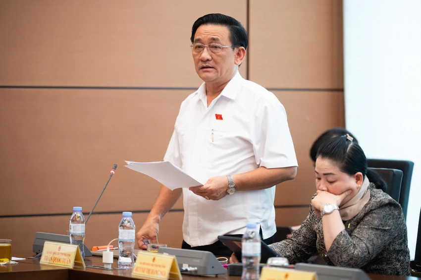 Đại biểu Phạm Khánh Phong Lan: 'Không dẹp cỏ dại thì làm sao lúa mọc'