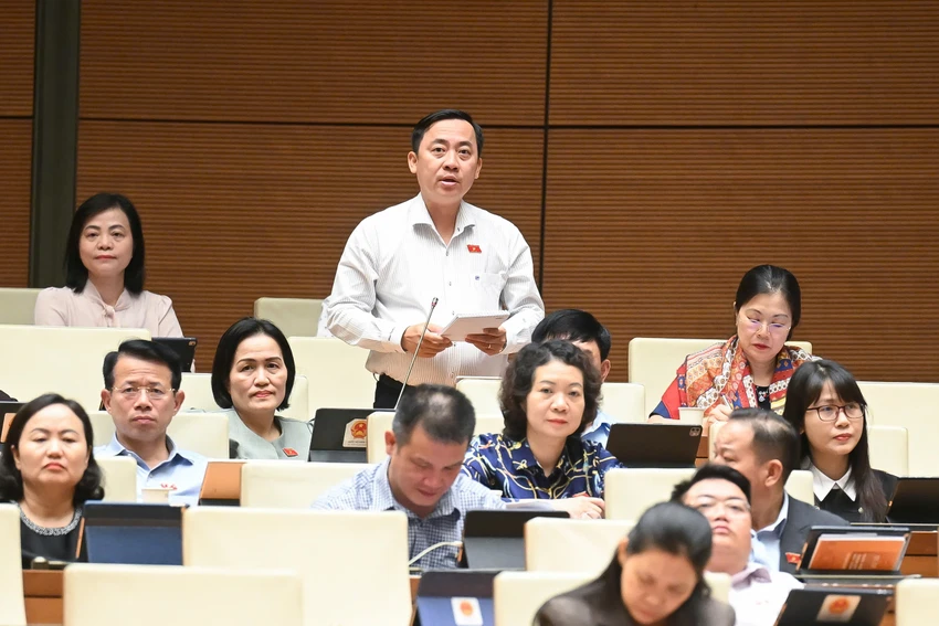 dao-chi-nghia-1.jpg
