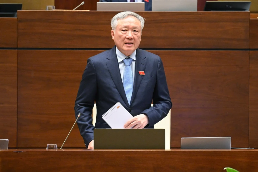 nguyen-hoa-binh-3.jpg