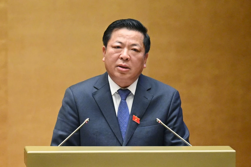 thau-tu-van-dua-tong-muc-dau-tu-len-tan-may-xanh-de-huong-hoa-hong-tran-hong-minh.jpg