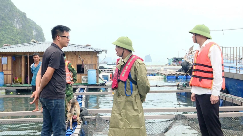 bao-so-3-wipha-6-quang-ninh.jpg