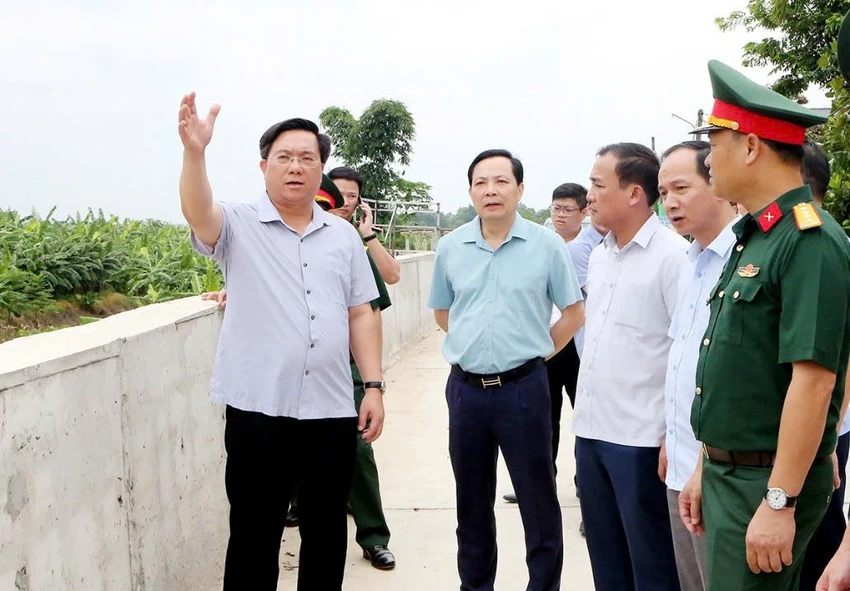 bao-so-3-wipha-6-tran-duy-dong.jpg