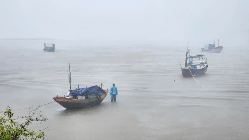 bao-so-5-thien-cam.jpg