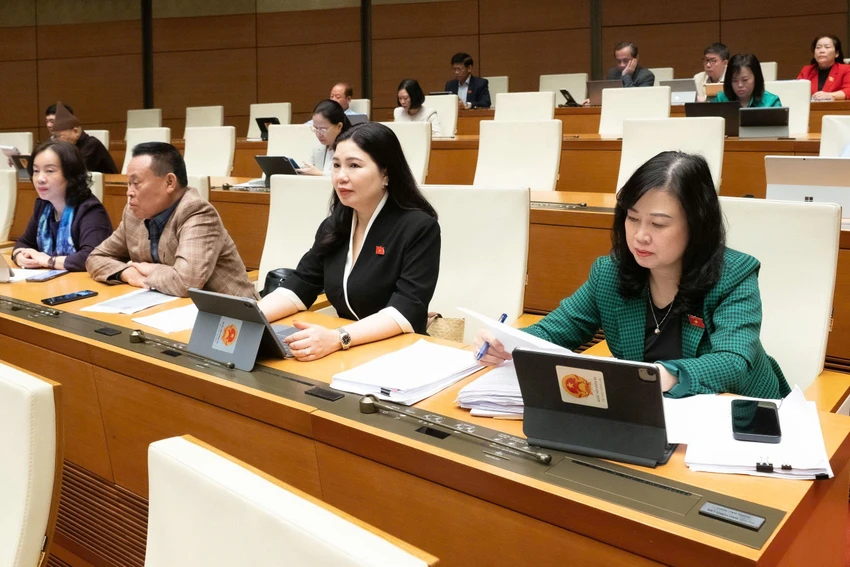 dai-bieu-ky-hop-10-tham-nhung.jpg