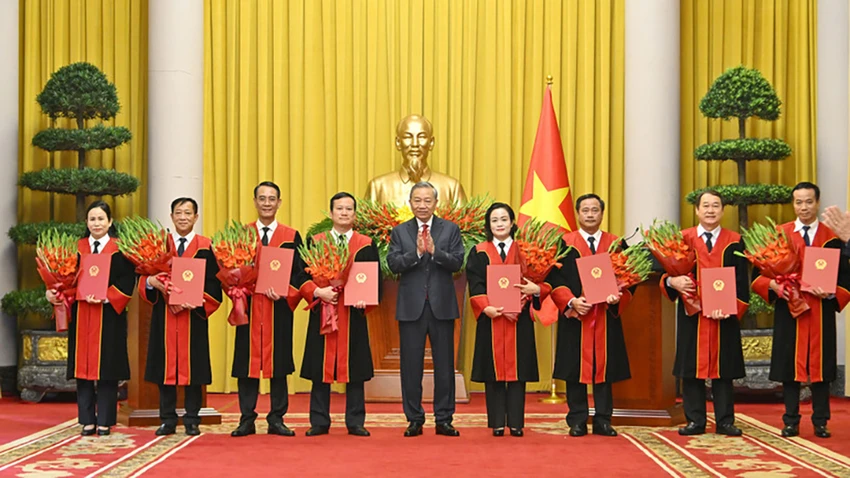 ba-nguyen-hai-tram-duoc-bo-nhiem-giu-chuc-vu-pho-chanh-an-tand-toi-cao.jpg