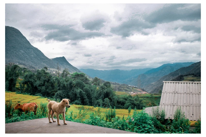 #Mytour: Kham pha ve dep dat nuoc trong hanh trinh toi Sa Pa hinh anh 3