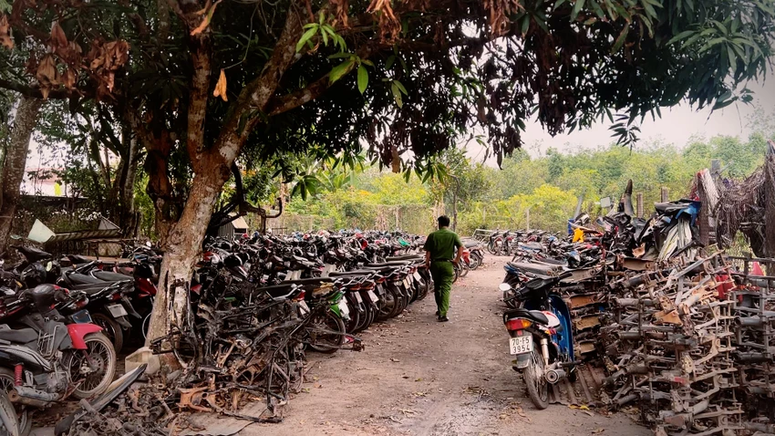 xe máy không giấy-4.jpg