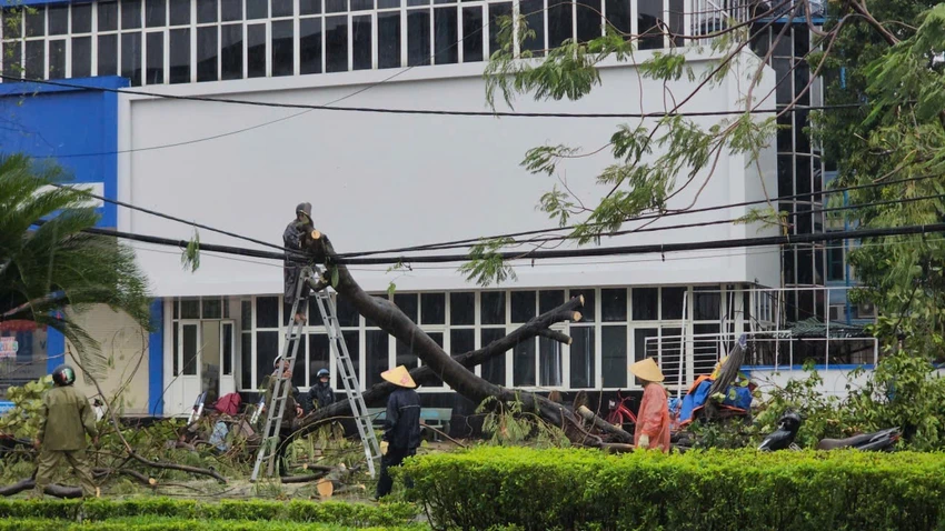 bão số 5-.jpg