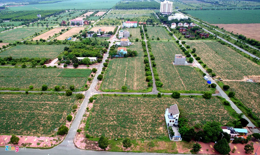 Hàng chục biệt thự tiền tỉ bị bỏ hoang ở Nhơn Trạch ảnh 7 Biet thu, nha pho 'bi bo quen' o do thi cach Sai Gon 20 km hinh anh 7