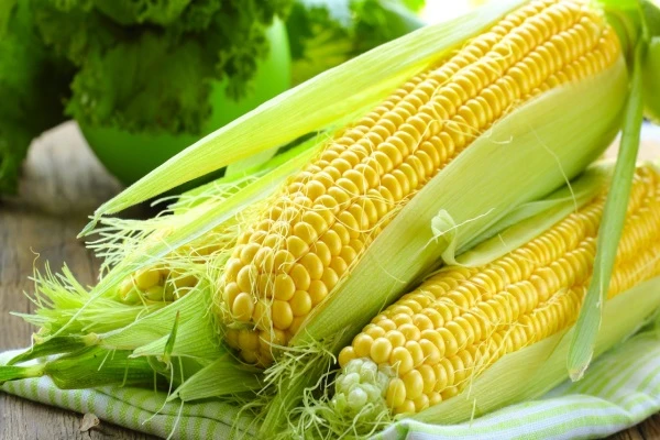 Những thực phẩm có chất gây dị ứng ảnh 4