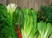 Các loại thực phẩm ngừa bệnh béo phì
