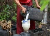 Ngộ độc rượu dừa: 11 người chết, 300 người nhập viện