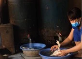 TP.HCM yêu cầu xử lý dứt điểm nơi giết mổ gia cầm trái phép
