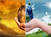 Làm sao để giảm thiểu trình trạng biến đổi khí hậu?