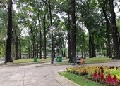 Quy hoạch cây xanh ở công viên như thế nào mới chuẩn?