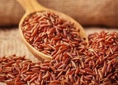 Cách tăng hệ miễn dịch ở người lớn tuổi trong mùa COVID-19