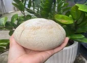 Uống nước dừa thời điểm nào là tốt nhất cho cơ thể?