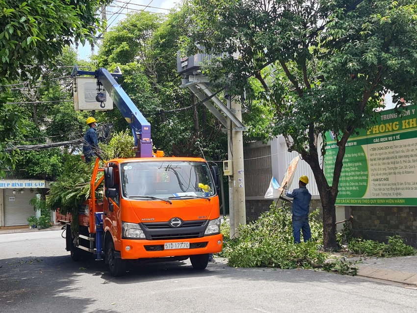 TP.HCM tăng cường kiểm soát cây xanh đô thị. Ảnh: NGUYỄN CHÂU TP.HCM tăng cường kiểm soát cây xanh đô thị. Ảnh: NGUYỄN CHÂU