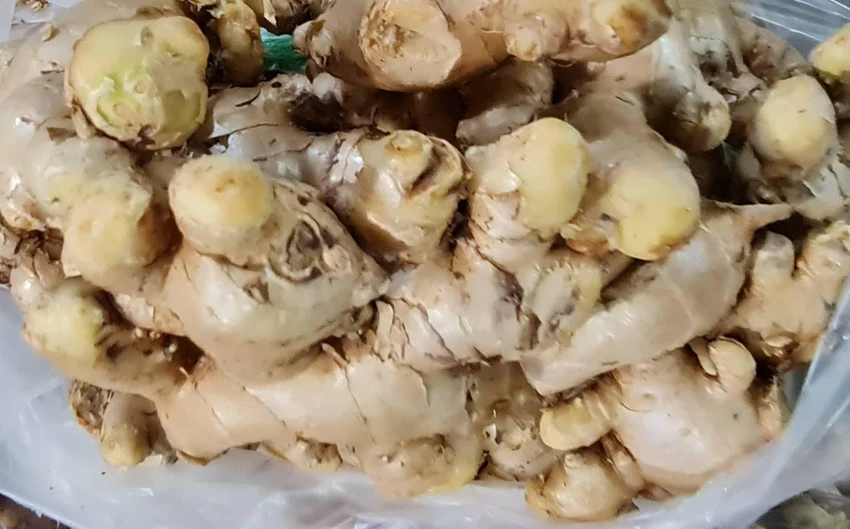 Ăn gừng giúp tăng cường trao đổi chất. Ảnh: NV Ăn gừng giúp tăng cường trao đổi chất. Ảnh: NV
