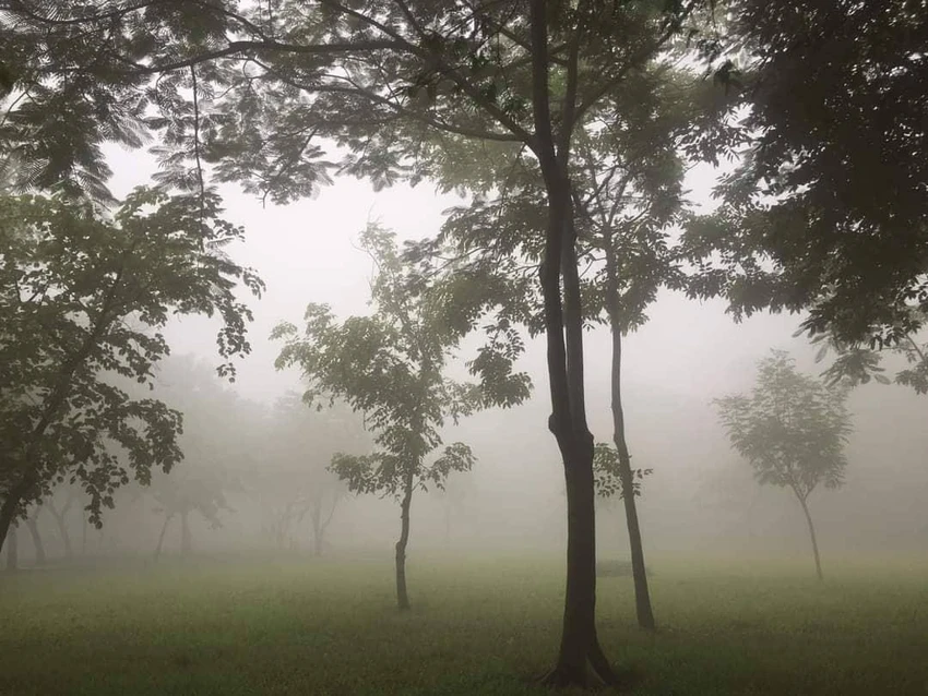 Sương mù dày đặc ở công viên Lý Chiêu Hoàng, quận Bình Tân, TP.HCM. Ảnh: N.HIẾU Sương mù dày đặc ở công viên Lý Chiêu Hoàng, quận Bình Tân, TP.HCM. Ảnh: N.HIẾU