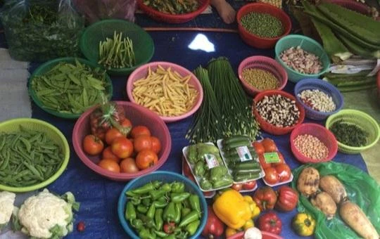 Rau, củ ở các chợ được quảng cáo là rau sạch. Ảnh: NGUYÊN VÕ Rau, củ ở các chợ được quảng cáo là rau sạch. Ảnh: NGUYÊN VÕ