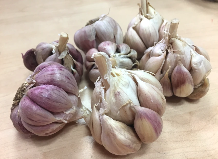 Ăn quá nhiều tỏi có thể gây đầy hơi. Ảnh: NHẬT LINH