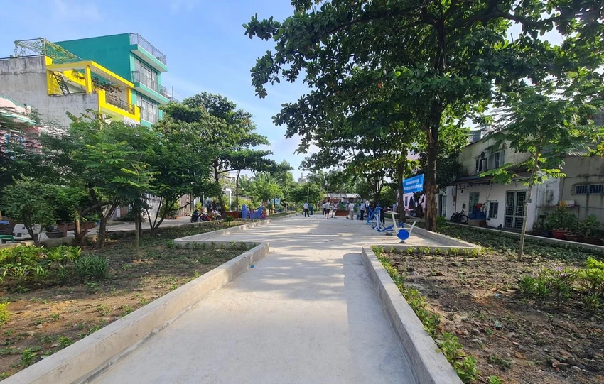 Cây xanh ở TP.HCM đang thiếu. Ảnh: NGUYỄN CHÂU Cây xanh ở TP.HCM đang thiếu. Ảnh: NGUYỄN CHÂU