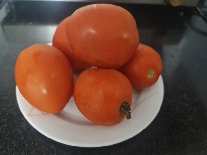 Tiêu thụ cà chua mang lại nhiều lợi ích cho sức khoẻ. Ảnh: NGUYÊN VÕ Tiêu thụ cà chua mang lại nhiều lợi ích cho sức khoẻ. Ảnh: NGUYÊN VÕ