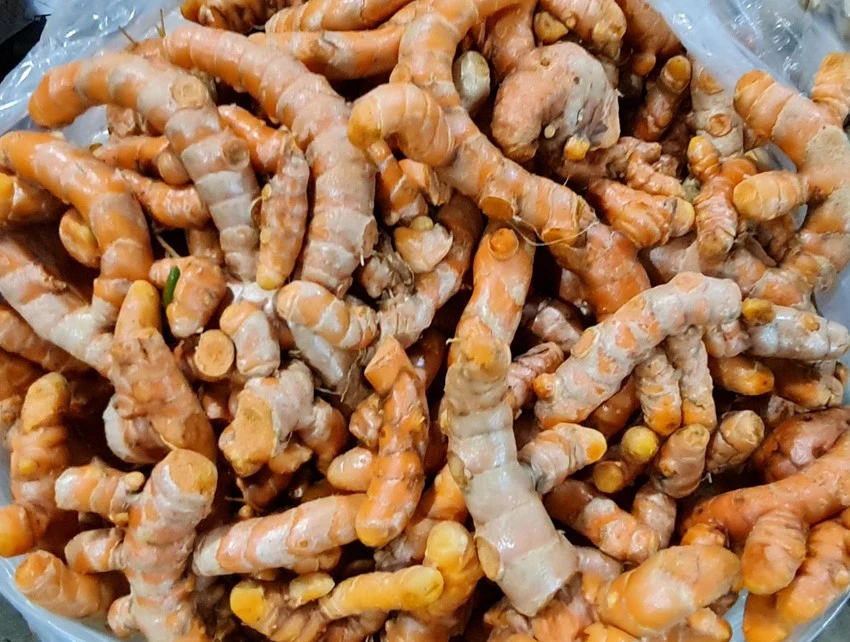 Củ nghệ giàu chất curcumin giúp giảm mức cholesterol. Ảnh: NGUYÊN VÕ
