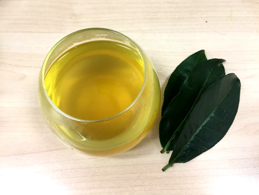 Trà xanh có chứa chất chống oxy hóa giúp hạn chế mức cholesterol trong cơ thể. Ảnh: NHẬT LINH