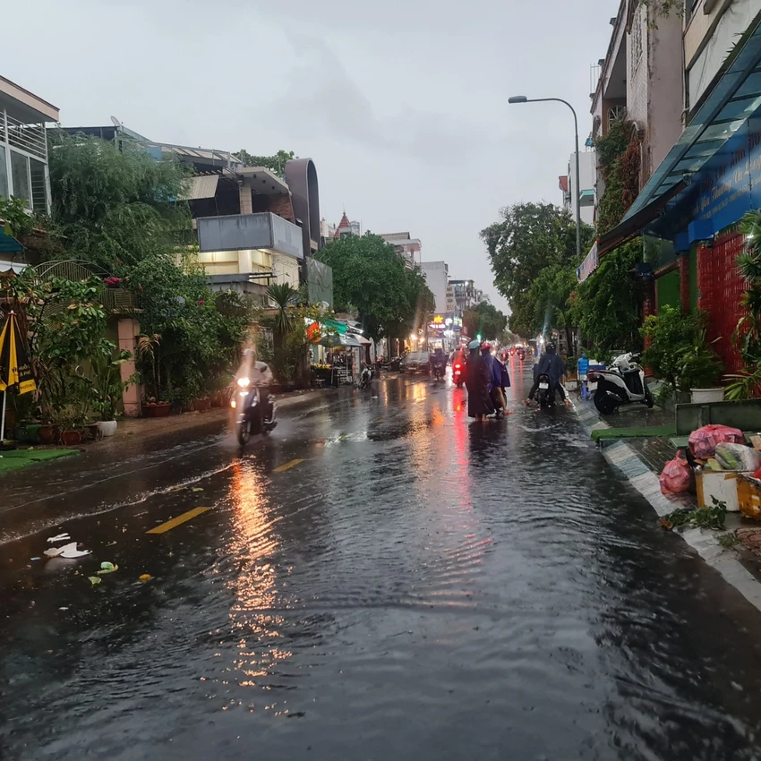 ngap tan phu.jpg