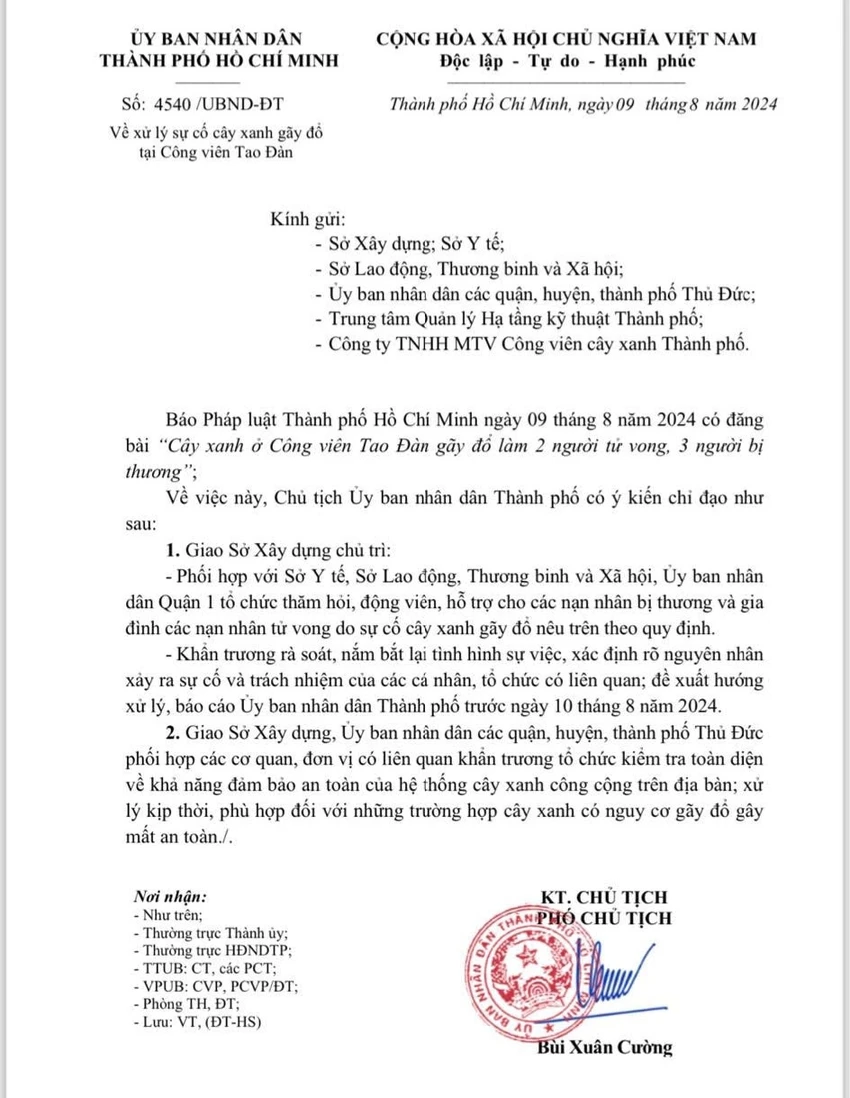 ngã cây xanh ở công viên tao đàn 2.jpg
