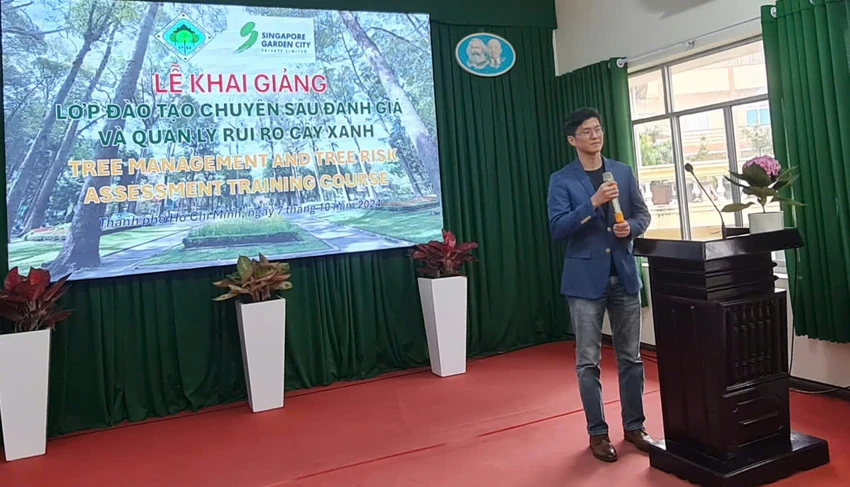TP.HCM: Cây có tuổi sẽ mạnh dạn thay thế để giảm rủi ro về cây xanh