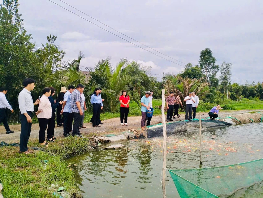 huyện bình chánh 5.jpg