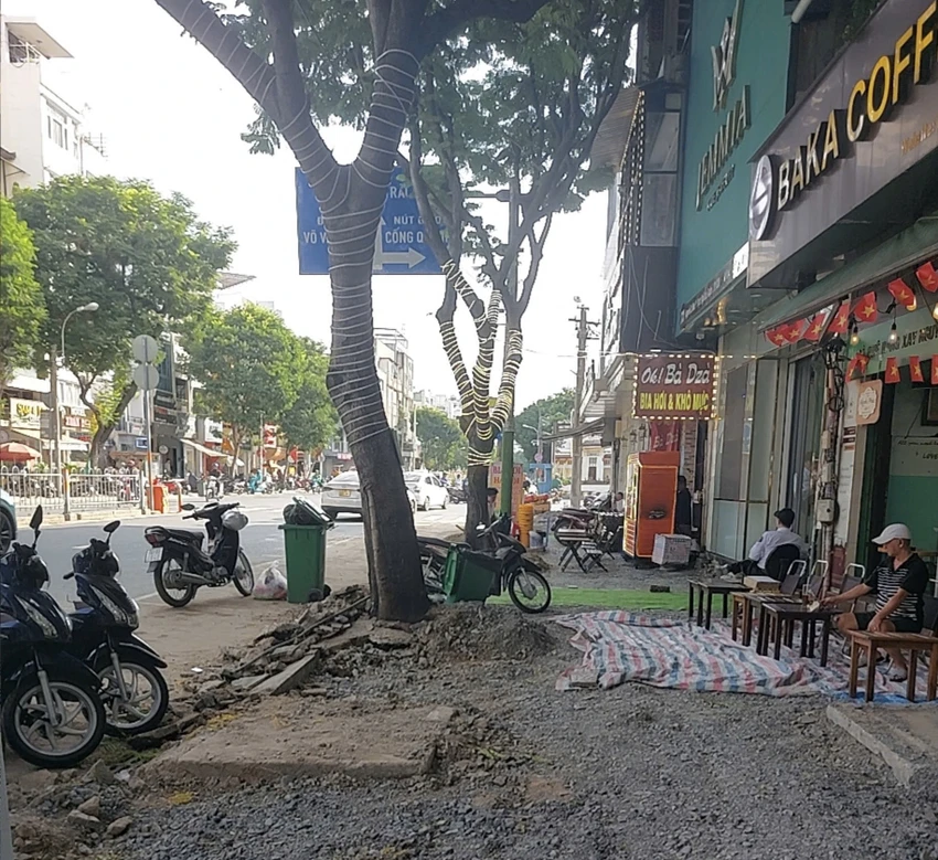 ảnh hưởng cây xanh 2.jpg