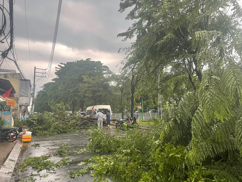 TP.HCM đổ cây, lốc xoáy, ngập úng khắp nơi trong cơn mưa chiều 11-9