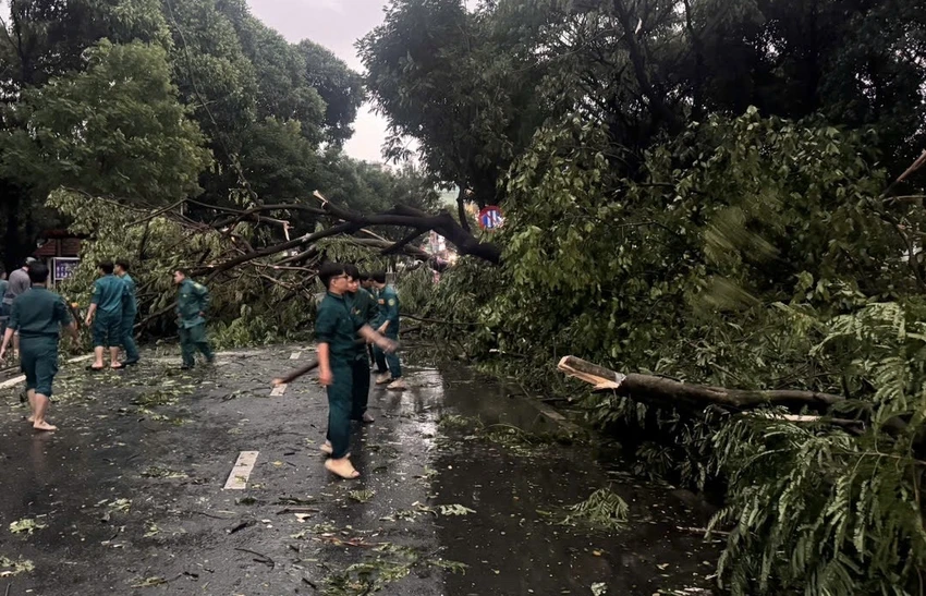 cơn mưa chiều gây đổ cây 5.jpg