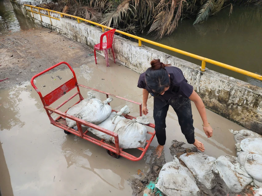 ngập do triều cường và mưa .jpg