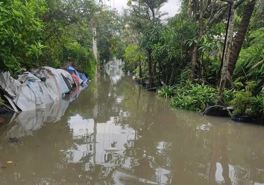 triều cường phường thới an 2.jpg