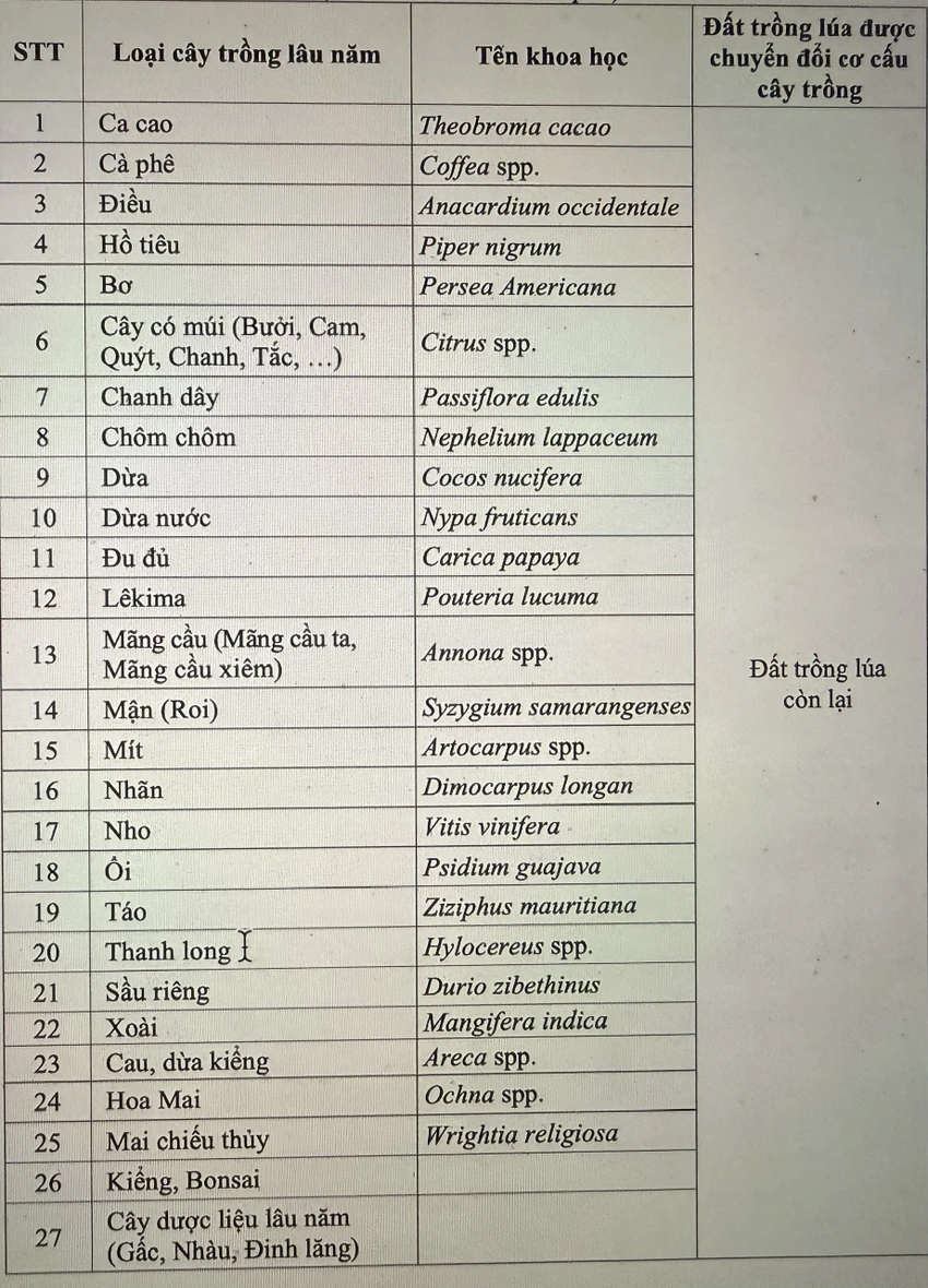 đất lúa 2.jpg