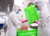 Người lao động là F0 được hỗ trợ những gì?